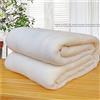 Lukery Coperta Pile Divano, Invernale Pianura Super Morbido Flanella Calda Coperta per Letto e Divano, Soggiorno, Ufficio,Coperte per Letto (180x200cm,Bianco)