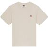 DICKIES T-SHIRT MAPLETON