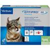 Virbac Effipro Duo Antiparassitario Spot on Gatto 4 PIPETTE