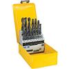 DeWalt DT5930-QZ Set 29 Punte HSS-R DIN 338 in Cassetta di Metallo, Diametri da 1 a 13 mm, Nero