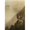 Komar Golden Light - Dimensioni: 50 x 70 cm Poster da parete, stampa artistica (senza cornice), Pure Boutique