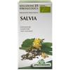 SPECCHIASOL Salvia 25 flacone da 50 ml - Integratore per la menopausa
