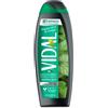 VIDAL - Peppermint & Ginkgo - Docciaschiuma rinfrescante Menta e gingko Bilboa 250 ml