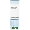 Clorofilla soluzione idroalcolica 50 ml