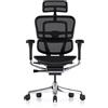 Procomfort ERGOHUMAN ELITE EVOLUTION Struttura Nera - Rete Nera