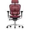 Procomfort ERGOHUMAN ELITE EVOLUTION Struttura Nera - Rete Rossa