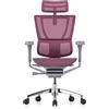 Procomfort MIRUS EVOLUTION Struttura Grigia - Rete Rosa
