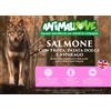 GRAIN FREE ANIMAL LOVE ANIMALOVE Crocchette Grain Free MONOPROTEICO Salmone con Trota, Patata Dolce e asparago Cane Adulto - Taglia Piccola 6 kg