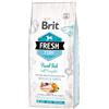 BRIT CARE Brit Fresh Pesce e Zucca Large Breed Adult per Cani 12 Kg
