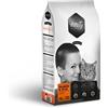 Amity Gatto Premium Salmone e Riso - Crocchette Gatti, 10 kg