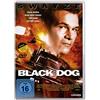 LEONINE Black Dog
