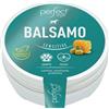 Perfect Balsamo Sensitive Zampe e Naso per Cane 75G