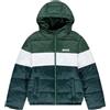 Levi's Lvb-Piumino a Blocchi di Colore Giacca, Bistrò Verde, 8 Anni Bambini e Ragazzi