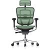 Procomfort ERGOHUMAN ELITE EVOLUTION Struttura Nera - Rete Verde
