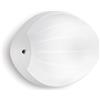 Sovil Applique Coco Aperta Potenza 7Watt LED 4000K Colore Bianco