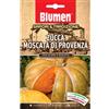 Blumen Zucca moscata di provenza