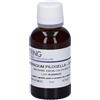 HERING Hieracium Pilosella Tintura Madre 30 ml Gocce orali