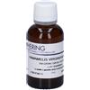 HERING Hamamelis Virg Tintura Madre 30 ml Gocce orali