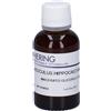 HERING Aesculus Hippocast Macerato Glicerico 30 ml Gocce orali