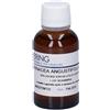 Hering Srl HERING Echinacea Angust Tintura Madre 30 ml Gocce orali