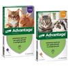 Elanco Advantage Spot On Gatti/Conigli | Peso > 4 Kg - Elanco - Advantage Spot On per gatti e conigli - 4 Pipette - 80MG