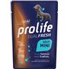 Prolife Dual Fresh Adult Mini Salmon & Codfish - Prolife - Dual Fresh Adult Mini Salmon & Codfish - 100GR