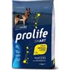 Prolife Smart Adult Medium/Large Chicken & Rice - Prolife - Smart Adult Medium/Large Chicken & Rice - 12KG