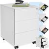TecTake® Armadietto Per Archivio Pratiche con Rotelle, Mobile Porta Documenti 3 Cassetti, 1 Porta Fascicoli, Mobile Salvaspazio, Armadio con Serratura Chiave, Armadio Ufficio Multiuso - Bianco
