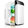 BLUNOA 10L Mini Frigo Frigorifero Portatile Riscaldatore per Alimenti E Bevande Congelatore Scatola da Viaggio Mini Casa Campeggio Frigo Alimentazione AC + DC per La Casa Auto Campeggio Viaggi