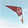 Skymonkey Fastrider Aquilone acrobatico per ragazzi e adulti, 2 linee, apertura alare: 127 cm - Racingred