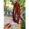 5 Mukhi RUDRAKSHA Rudraksh Mala ROSARIO 54+1 grandi perline 18-20 mm rosso