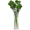 DRERIO Vaso Trasparente per Decorare Stanza, Moderni da Interno Design Rettangolare Vasi Unico per Decorazioni Casa per Arrangementi Floreali E Decorazione Domestica (40 x 12cm Vaso vetro)