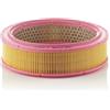 Mann Filter MANN-FILTER, C 2443/1 Filtro aria