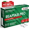 CISBANI PHARMA Reaptasi Pro, Integratore Articolazioni, Favorisce la Normale Funzionalità Articolare, con PEA, Artiglio del Diavolo, Boswellia e Partenio - 24 Compresse