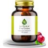 ERBEX essere e benessere ERBEX - Uva Ursina 100 Capsule | Polvere Micronizzata + Estratto Titolato 10% Arbutina | Benessere delle Vie Urinarie e Drenaggio | Formula Doppia