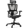 HJH Office Sedia da ufficio ergonomica ERGOHUMAN SLIM ECO M GEN2 Design originale, sedia da ufficio con supporto lombare flessibile, rivestimento in rete, Nero