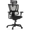 HJH Office Sedia da ufficio ergonomica ERGOHUMAN SLIM ECO F GEN2 Design originale, sedia da ufficio con supporto lombare flessibile, seduta imbottita, Nero