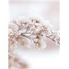 OYFFL Frumento Reed Wall Art Canvas Paesaggio Fiore Pianta Pittura Soggiorno Quadri Moderni su Tela Pittura con Stampa nordica (30 * 40cm Senza Cornice,6)