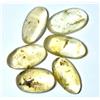 Glitzy Gem Insetto Ambra Giallo Naturale Tanzania 30,50 Ct Inclusione 6 Pezzi Pietra Pre...