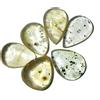 Gemma glitzy Insetto fossile ambra naturale Tanzania 34,25 ct inclusione 6 pezzi pietra pr...