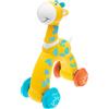 CHICCO (ARTSANA SpA) Gioco Giraffa Spingi e Vai Chicco, Giocattolo Educativo per Neonati, 1 Pezzo