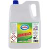 AMACASA Ammoniaca classica - 5 L - Amacasa (unità vendita 1 pz.)
