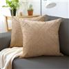 Encasa XO Encasa Luxury Cuscini in Velluto Goffrato Coperture per Cuscini di Peluche per Soggiorni Eleganti e Camere da Letto, Lavabili in Lavatrice, 40x40 cm Beige Set di 2 | Solo Coperture Senza Inserto