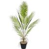 AIVORIUY Piante Finte con Vaso Areca Palma Piante Artificiali da Interno Esterno Grandi Albero Palma Finta Soggiorno Decorazioni Camera da Letto Balcone Ufficio Giardino (95cm Palma Grande Alta)