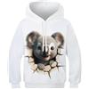 VesFy Koala Felpa Giacca Cappuccio Traspirante Stampa 3D Animale Uomo Felpe Hoodie Cappotto Pullover Casual Maniche Lunghe per Bambini con Teens per Bambini E Ragazzi 7-9Y