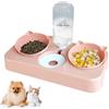 Kakbrt Ciotola per Gatti,3 in 1 Doppio Ciotole per Animali Domestici,Distributore Acqua Pet Feeder Automatico,per Gatti e Cani di Piccola Taglia (Rosa)
