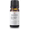 Naissance Olio Essenziale di Eucalipto (Eucalyptus Globulus) (Nr. 101) 10ml - 100% Puro, Naturale, Vegano, Cruelty-Free e Non Diluito - Aroma Confortante e Rinfrescante