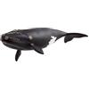 Schleich WILD LIFE | Balenottera nera dell'Atlantico del Nord 14878 | figura animale realistica | giocattolo educativo zoo | regalo bimbi | decorazione compleanno | dai 3 anni | 19 x 10 x 5 cm