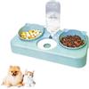 Kakbrt Ciotola per Gatti,3 in 1 Doppio Ciotole per Animali Domestici,Distributore Acqua Pet Feeder Automatico,per Gatti e Cani di Piccola Taglia (Verde)