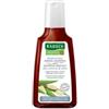 Rausch Shampoo Speciale Alla Corteccia Di Salice 200 Ml